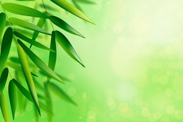 Realistic green leaves background