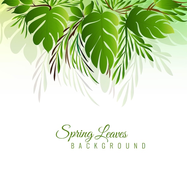 Realistic green leaves illustration background