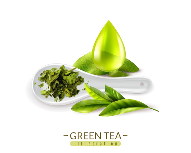 Realistic green tea and spoon and drop vector illustration