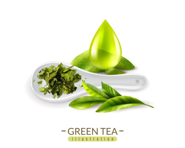 現実的な緑茶とスプーンとドロップのベクトル図