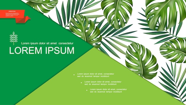 Realistic Green Tropical Plants Template with Natural Beautiful Monstera and Palm Leaves – Free Vector Download