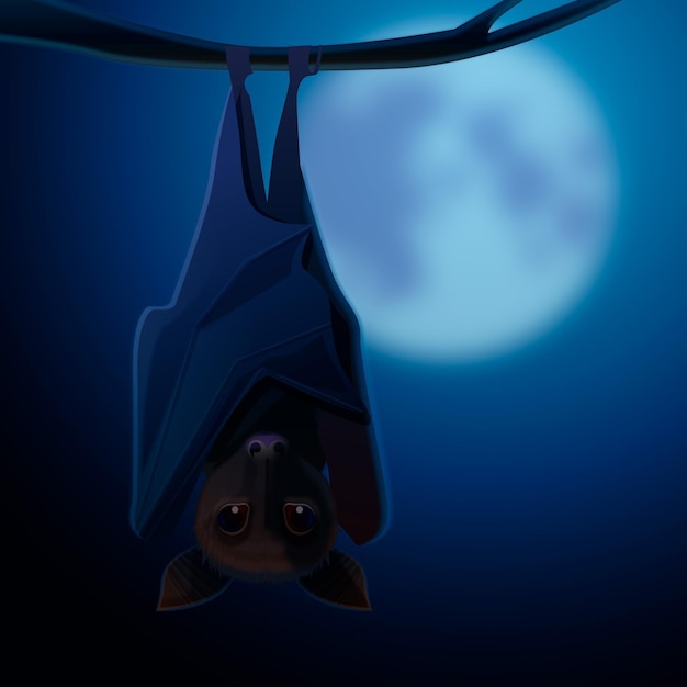 Realistic halloween bat illustration