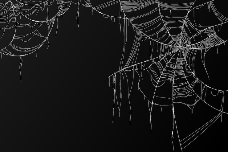 Free Vector realistic halloween spider webs collection