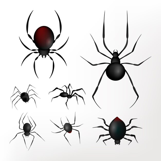 Realistic halloween spiders background