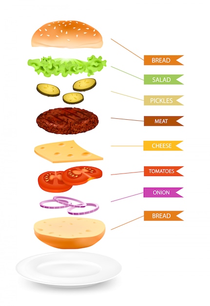 Realistic Hamburger Layers Infographics