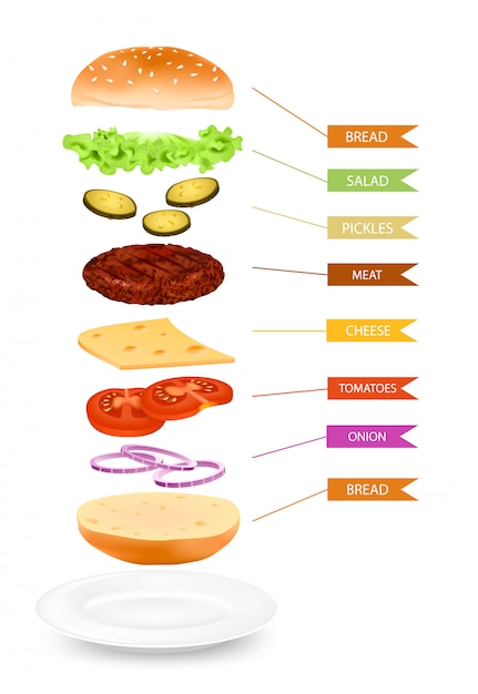 Реалистичная Инфографика Слоев Гамбургера