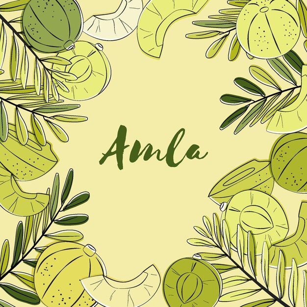 Realistic hand drawn amla fruit background