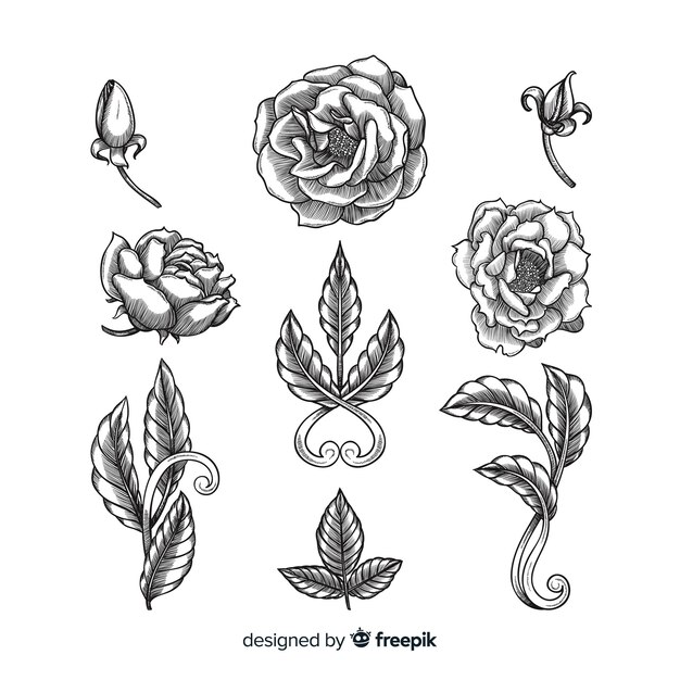 Realistic hand drawn baroque vintage flowers