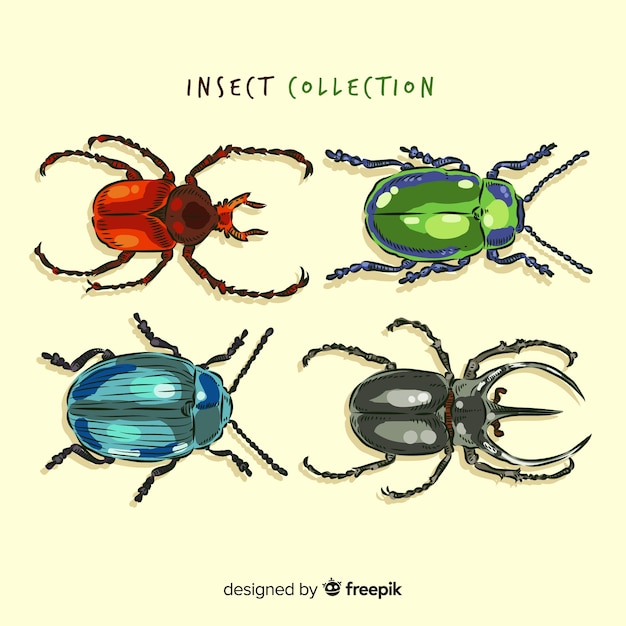 Realistic hand drawn beetle collection