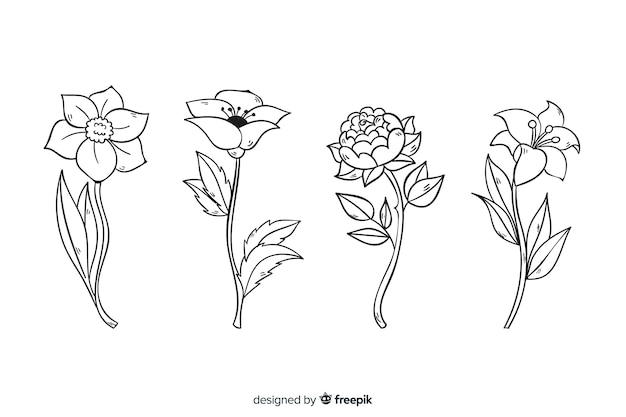 現実的な手描きの植物の花のコレクション