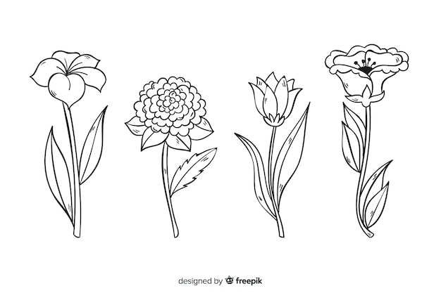 Realistic hand drawn botanical flowers collection