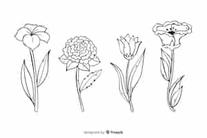 Vettore gratuito collezione di fiori botanici disegnati a mano realistica