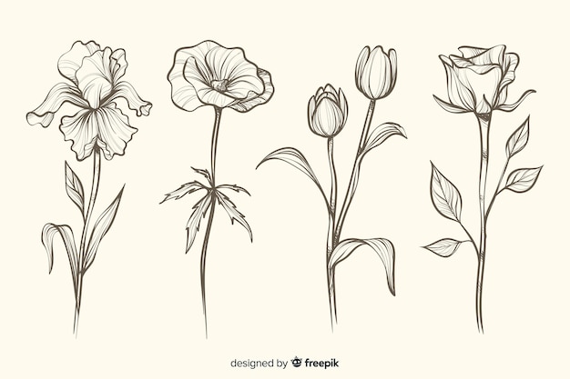 Realistic hand drawn botanical flowers collection