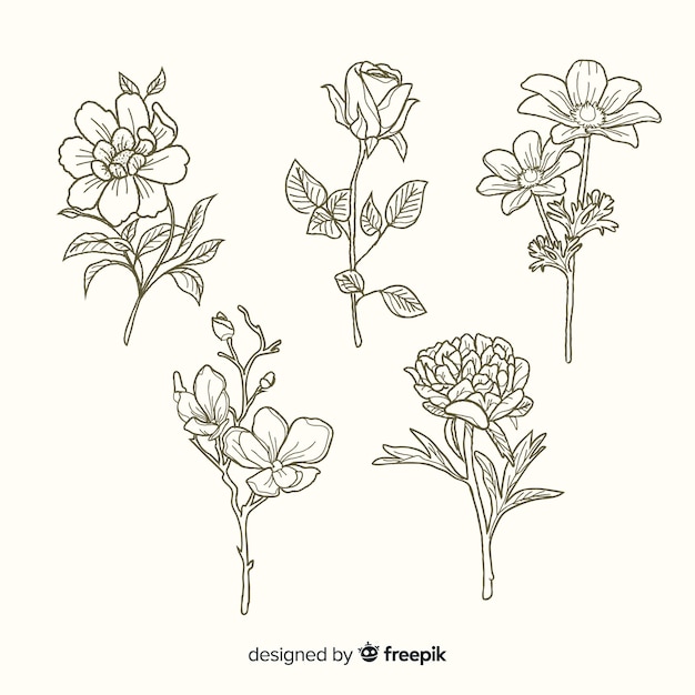 Free vector realistic hand drawn botanical flowers collection