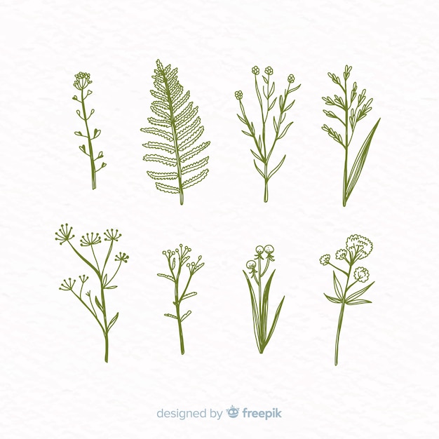 Free vector realistic hand drawn botanical flowers collection