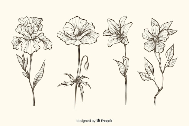 Realistic hand drawn botanical flowers collection