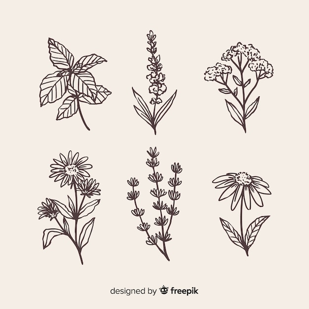 Free vector realistic hand drawn flowers collection