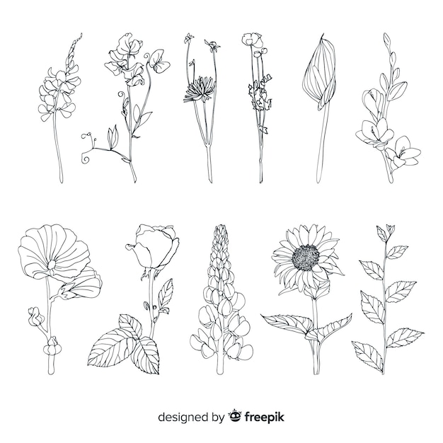 Free vector realistic hand drawn flowers and leaves