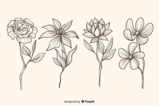 Realistic hand drawn flowers and leaves