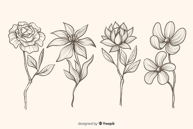現実的な手描きの花と葉