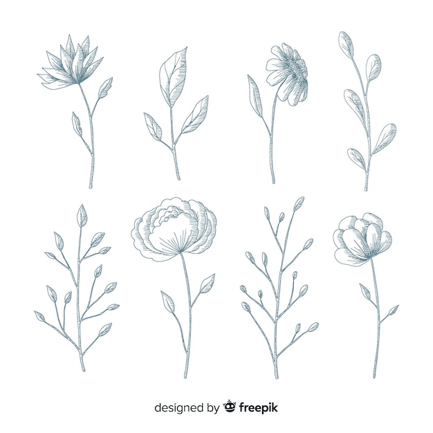 Free vector realistic hand drawn flowers with stems and leaves in blue shades