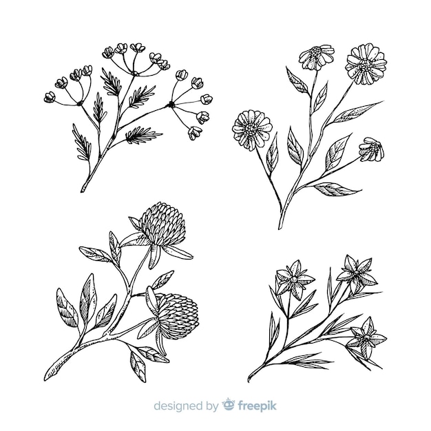 Free vector realistic hand drawn flowers with stems and leaves