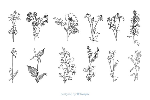 スケッチ花 画像 無料のベクター ストックフォト Psd