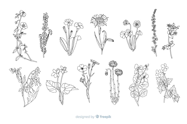 Free vector realistic hand drawn flowers