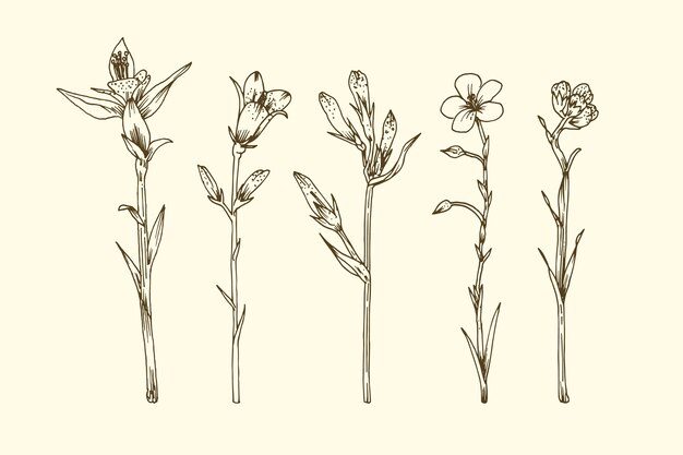 Реалистичные рисованной травы и дикие цветы