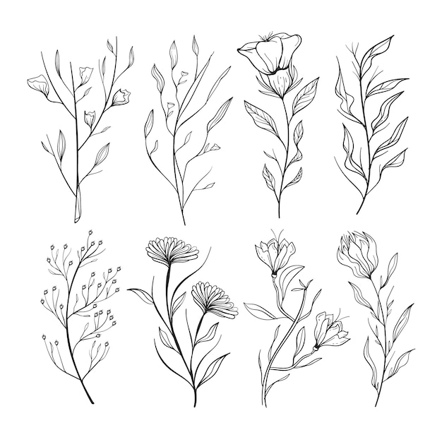 Free vector realistic hand drawn herbs & wild flowers