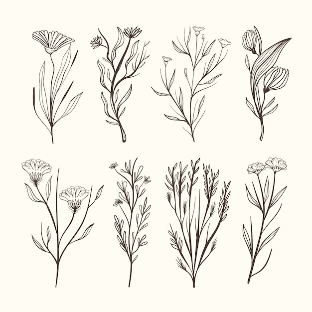 Free vector realistic hand drawn herbs & wild flowers