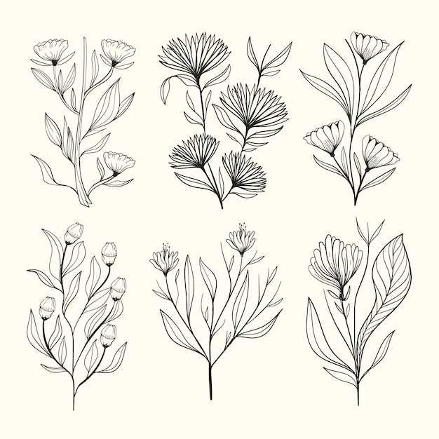 Realistic hand drawn herbs & wild flowers