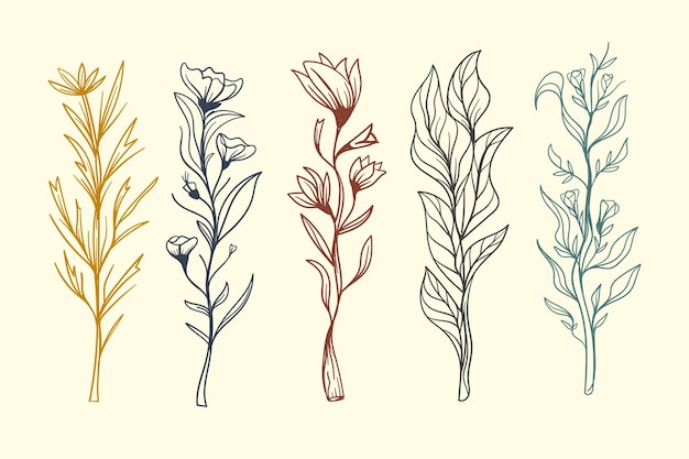 Free vector realistic hand drawn herbs & wild flowers