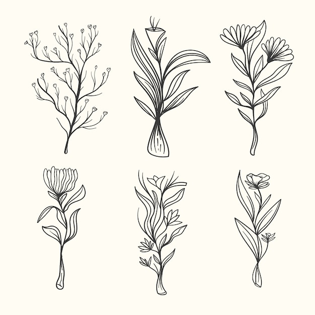 Realistic hand drawn herbs & wild flowers