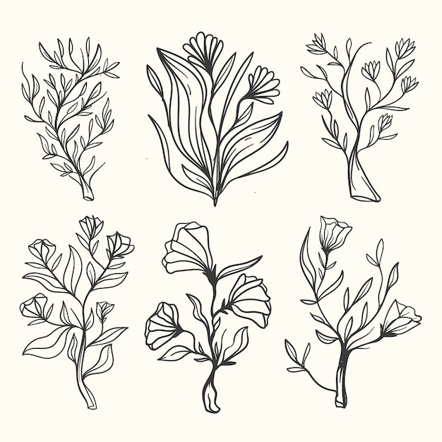 Realistic hand drawn herbs & wild flowers