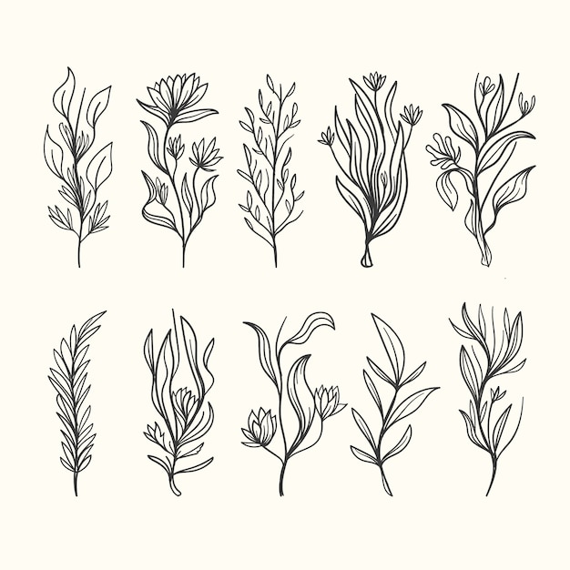 Realistic hand drawn herbs & wild flowers