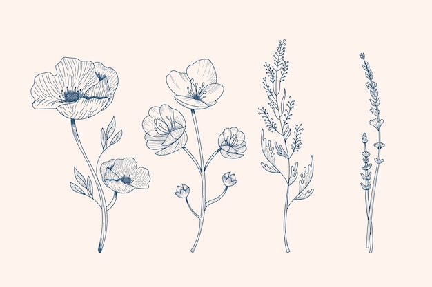 Realistic Hand Drawn Herbs & Wild Flowers