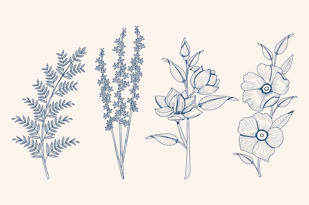 Free vector realistic hand drawn herbs & wild flowers