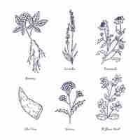 Free vector realistic hand drawn herbs and wild flowers