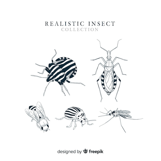 Реалистичная коллекция рисованной насекомых