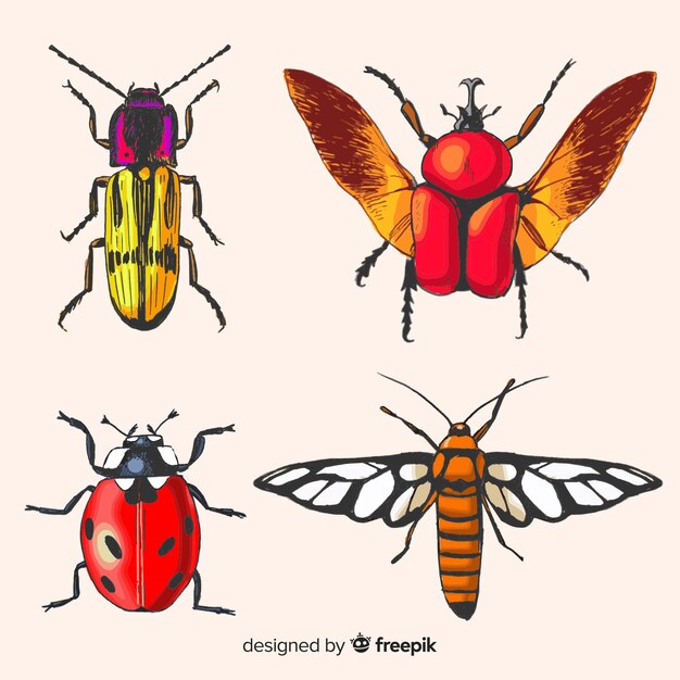 Realistic hand drawn insects pack