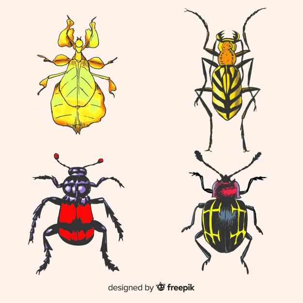Realistic hand drawn insects pack