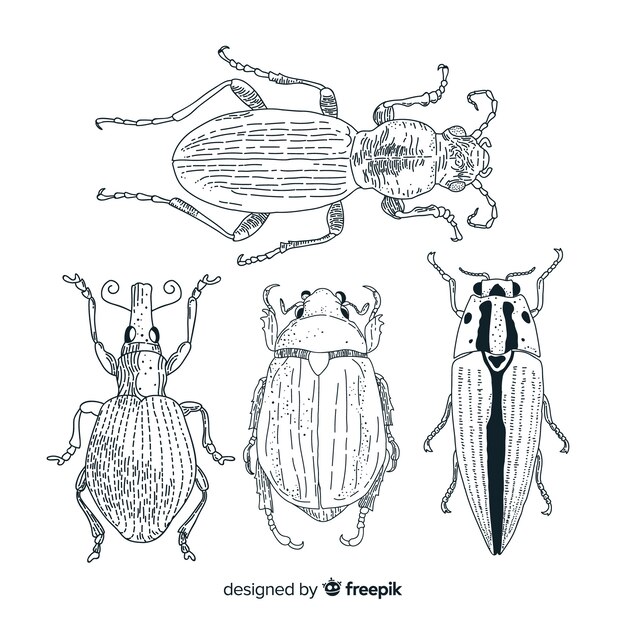 Реалистичные рисованной насекомых эскиз пакета