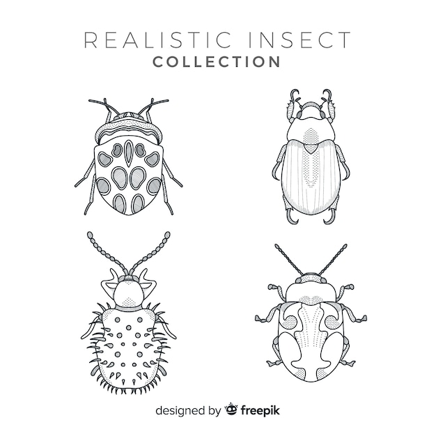Реалистичный набор рисованной насекомых эскиз