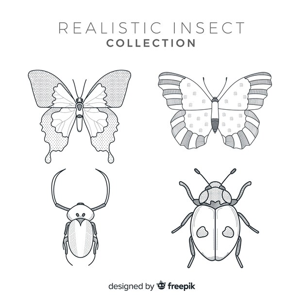 Realistic hand drawn insects sketch set