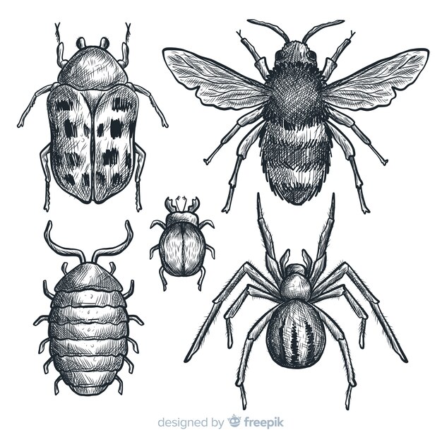 Realistic hand drawn insects sketch set