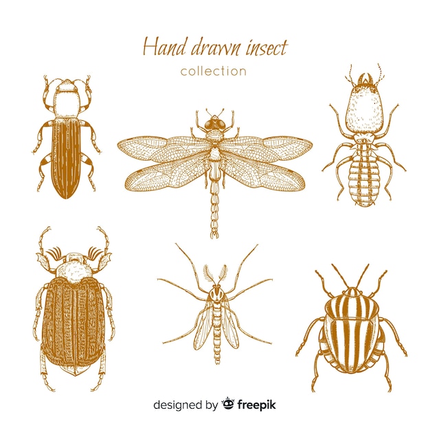 Free vector realistic hand drawn insects sketch set