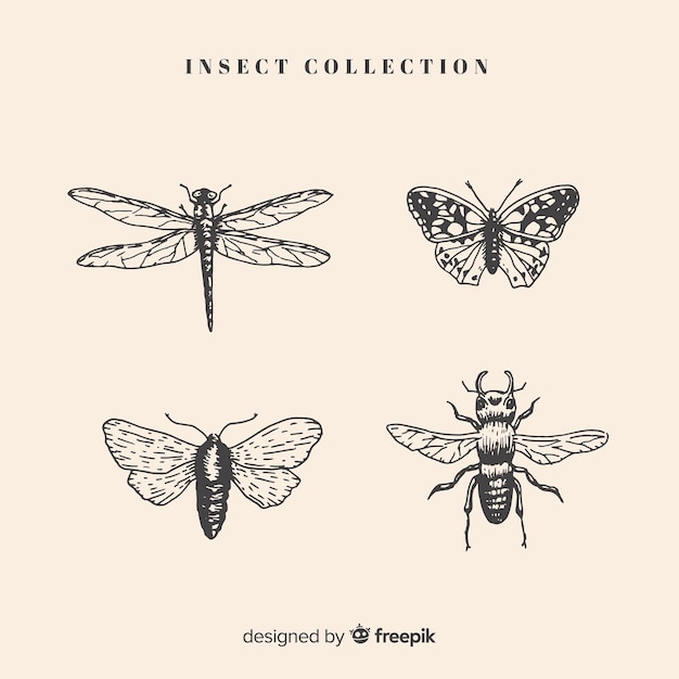 Realistic hand drawn insects sketch set