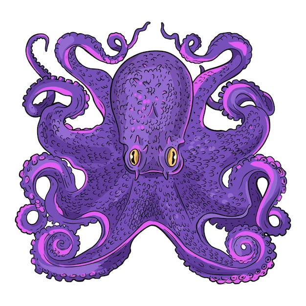 Realistic hand drawn octopus