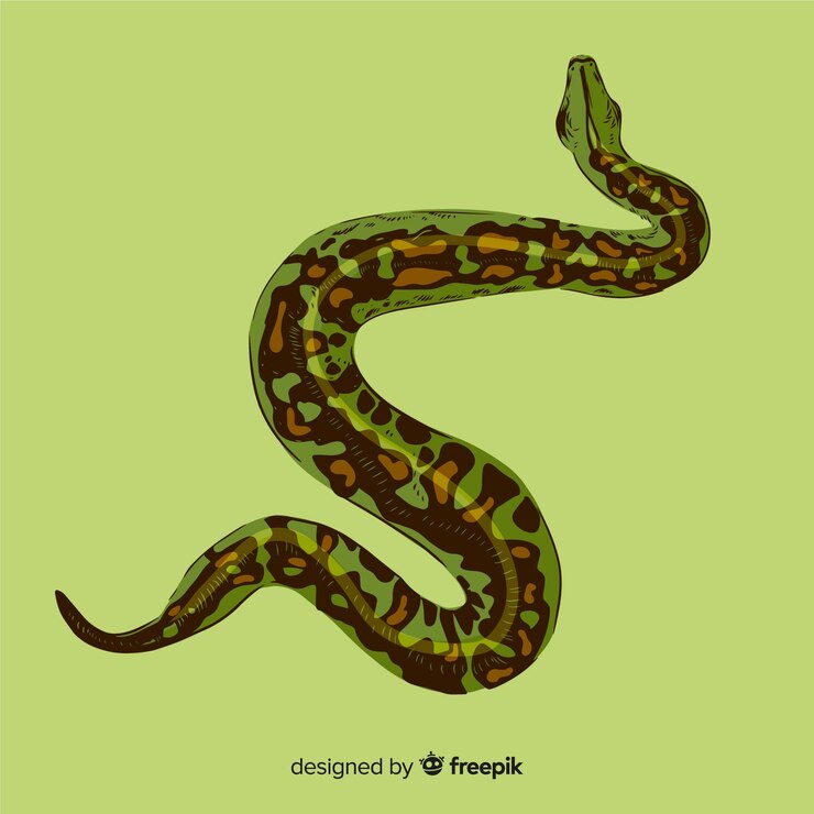 Free Vector realistic hand drawn python background